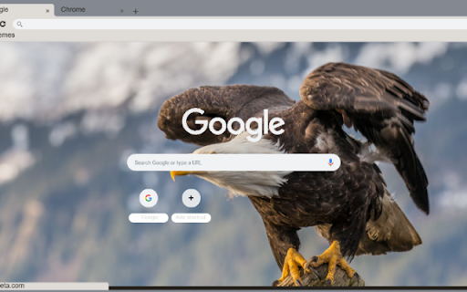 Dai bang dau trang screenshot 1