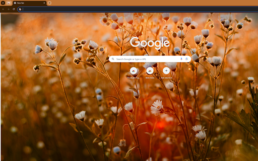 daisies bathed in the golden light of sunset screenshot 1