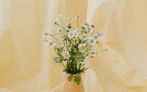Daisies in a Flower Vase screenshot 1