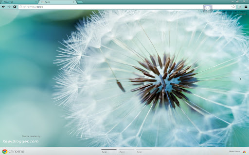 Dandelion screenshot 1
