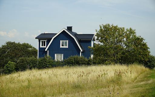 Dark green house screenshot 1