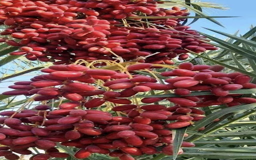 date wallpaper screenshot 1