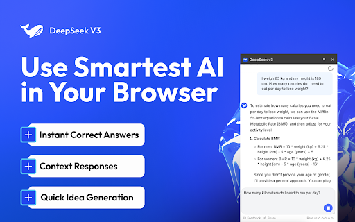 DeepSeek v3 screenshot 1