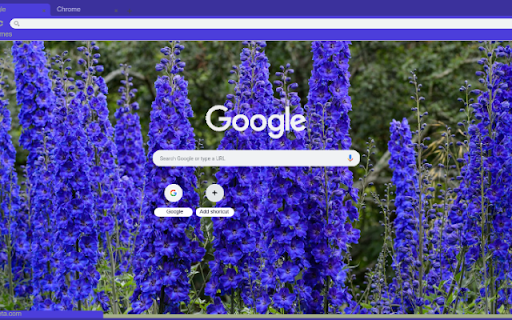 Delphinium screenshot 1