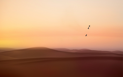 Desert bird screenshot 1