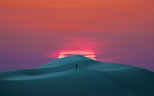 Desert Solitude screenshot 1