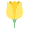 Dewy Yellow Tulips logo