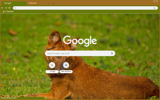 Dhole screenshot 1