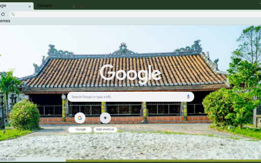 Dinh Nhu Tan screenshot 1