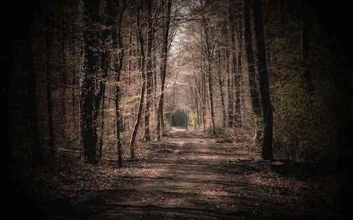 dirt road screenshot 1