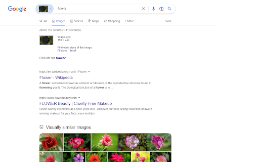 Disable Google Lens screenshot 1