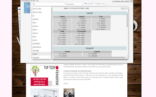 DizLadWeb screenshot 1
