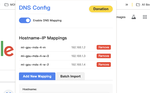 DNS Config screenshot 1
