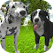 Dog Simulator 3D Game - Experience life as a dog in this fun simulator! logo