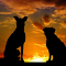 Dog watching the sunset logo