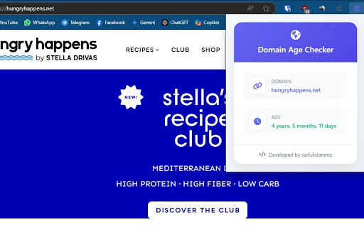Domain Age Checker screenshot 1