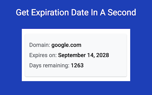 Domain Expiry Checker screenshot 1