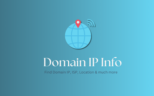Domain IP Info Fetcher screenshot 1