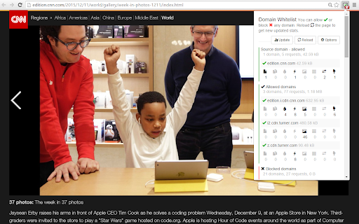 Domain Whitelist screenshot 1
