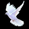 dove wallpaper spreading wings logo