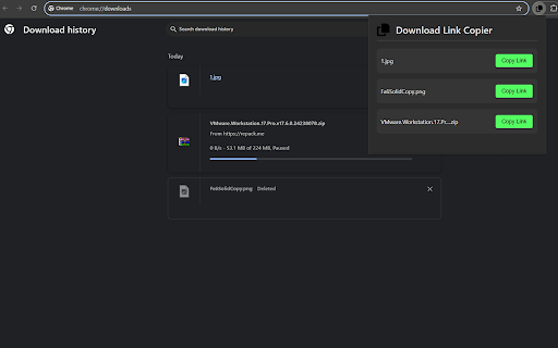 Download Link Copier screenshot 1