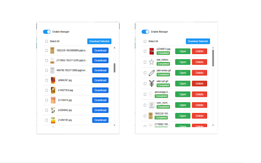 Download Manager screenshot 1