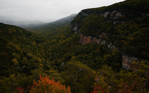 Dramatic Forest Canyon in Misty Autumn screenshot 1