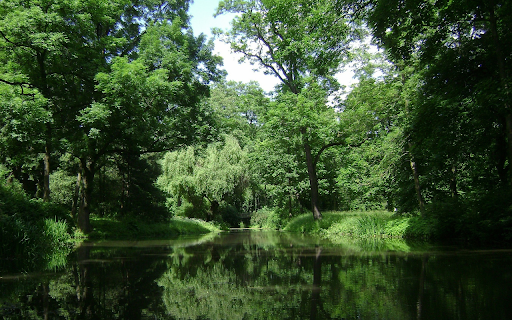 Dream green park screenshot 1