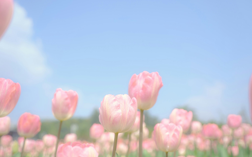 Dreamy Bloom screenshot 1