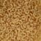 Dried pasta logo