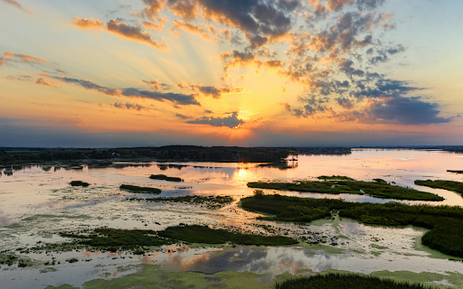 Drone Shot of a Wetland screenshot 1