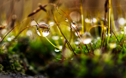 Drops of stagnant water screenshot 1