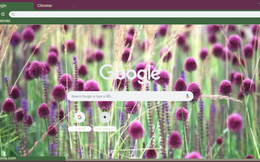 Drumstick Allium screenshot 1