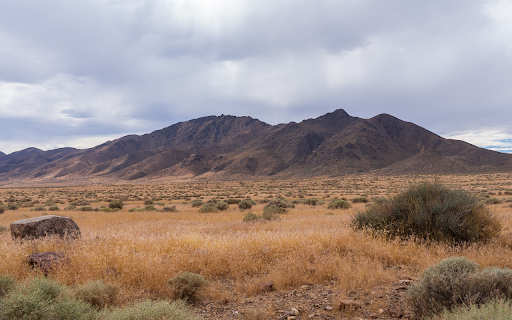 Dry grass and rocks screenshot 1