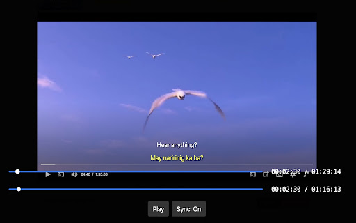 Dual Subtitle Overlay screenshot 1