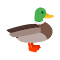 Ducktify logo