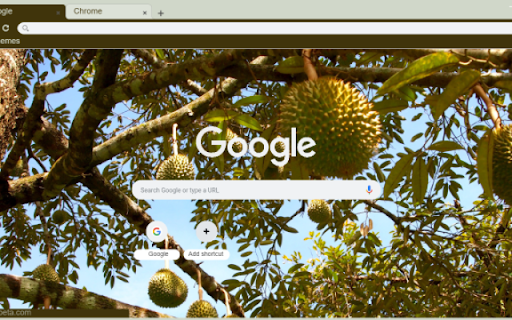 Durian Tree screenshot 1