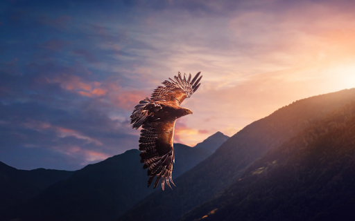 Eagle Flying Over the Valley screenshot 1