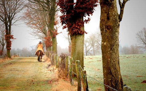 Early horseback riding screenshot 1