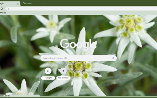 Edelweiss screenshot 1