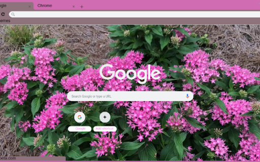 Egyptian Star Cluster screenshot 1
