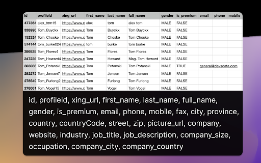 Employees Export for Xing (Email + Phone) screenshot 1