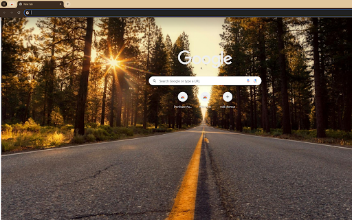 endless road leading into the forest at sunset screenshot 1