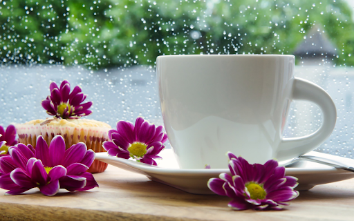 Enjoy tea and watch the rain screenshot 1