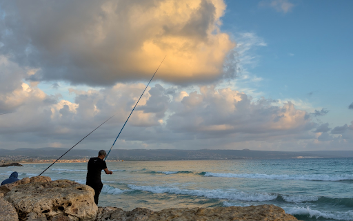 Enjoying sea fishing screenshot 1