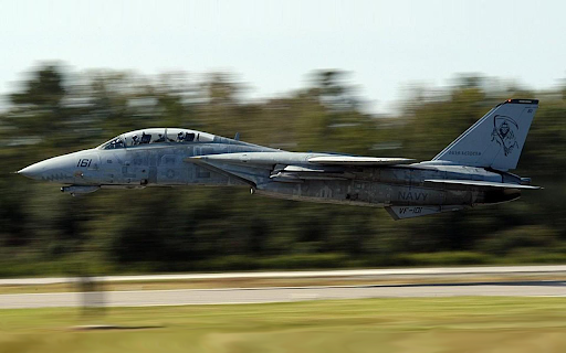 F-14 Tomcat Flying Low screenshot 1