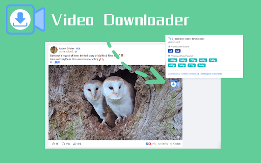 Facebook video downloader - VidSaver.io screenshot 1