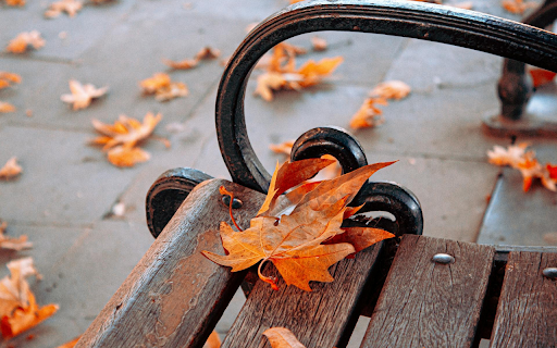 Falling Leaves screenshot 1