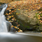 Falling Leaves Stream Bank logo