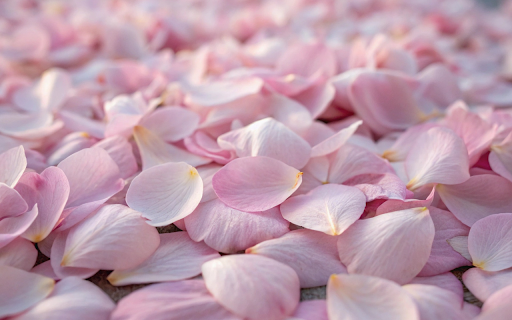 falling petals screenshot 1